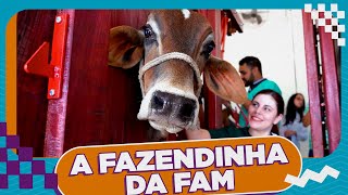 CONHEÇA A CLÍNICA DE ANIMAIS DE GRANDE PORTE DA FAM [upl. by Ainevuol469]