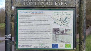 Pontypool Park 4K Drone Footage [upl. by Yecnay]