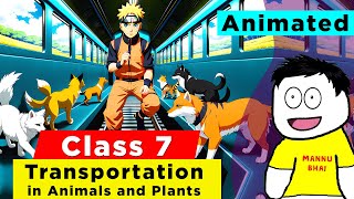 Transportation in Animals and Plants Full Chapter Class 7 Science  NCERT Science Class 7 Chapter 7 [upl. by Nylirehc702]