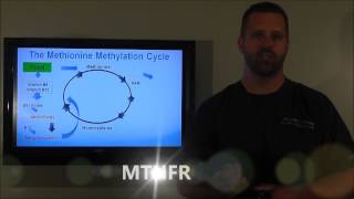 What is MTHFR amp Methylation [upl. by Edita]