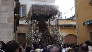 MAGNA MARIANA JEREZ 2024 Paz en su Mayor Aflicción por la calle Ávila con Pasa la Virgen Macarena [upl. by Gina875]