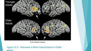 Ch 15 Late Adulthood physical and cognitive development [upl. by Eden672]