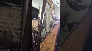 Poet and Peasant overture Harp part [upl. by Eladroc]