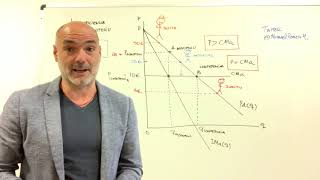 INEFICIENCIA DEL MONOPOLIO [upl. by Barnet]