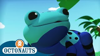 Octonauts  Saving a Family of Tadpoles 🐸  Cartoons for Kids  Underwater Sea Education [upl. by Yren538]