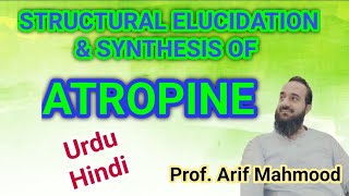 ATROPINE  Structural Elucidation and Biosynthesis of Atropine English Hyoscyamine [upl. by Esirehs]