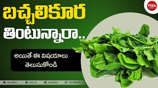 Benefits Of Spinach Bachali Aaku  Health Tips in Telugu  Bachali Aaku Uses  VIGIL MEDIA [upl. by Etteniotnna601]