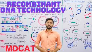 Recombinant DNA technology  Restriction enzymes and vectors Plasmid  Biology 12th Chapter 23 [upl. by Syd]