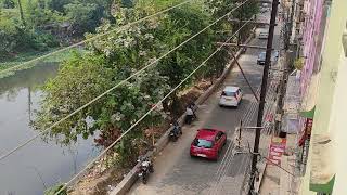 Kestopur Vip road west bengal kolkata 🥰🌹 [upl. by Scrivings]