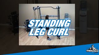 Standing Leg Curl [upl. by Anaitsirk]