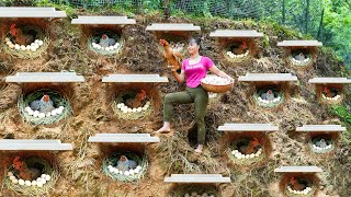 TIMELAPSE  30 Days Build Many Nest For Hens To Lay Egg  Harvest Chicken Egg Ducks Go To Sell [upl. by Elem]