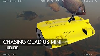 Gladius Mini S Review Underwater ROV for Pros and Hobbyists [upl. by Esta]