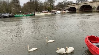 Kingston Upon Thames  United Kingdom  Glimpse [upl. by Marie-Ann]