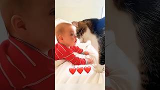 Cats love children 😍😍😍😍 catslove lovecatsforever cats loveforever [upl. by Charissa]