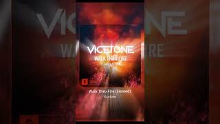 Walk Thru Fire  Vicetone  Rest for a while Listen to this song [upl. by Seen82]