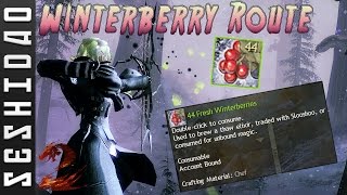 Guild Wars 2 Quick Winterberry Farm Route 4454 Winterberries [upl. by Sperry]