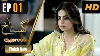 Pakistani Drama  Gustakh  Episode 1  Faryal Mehmood  Faysal Quraishi  ET1  Express TV Dramas [upl. by Yatnod]