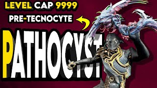 Glaive PATHOCYST Build for Level 9999  PreTechnocyte Warframe [upl. by Ezra]