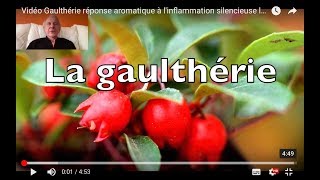 Vidéo LHE de Gaulthérie antidouleur et antiinflammatoire articulaire [upl. by Corby]