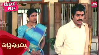 Balakrishna as a loving brother  Peddannayya  Telugu  Roja  Indraja  SUN NXT [upl. by Cirillo]