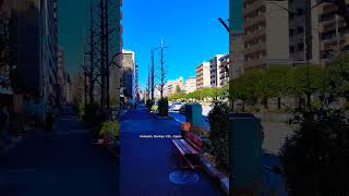 Peaceful community in Hakusan in the city of Bunkyo Tokyo tokyo japan city street travel fyp [upl. by Claudian]