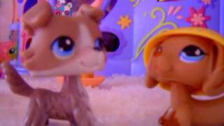 Littlest PetShop  Histoire  Ma meilleure amie partie 2 [upl. by Ris]