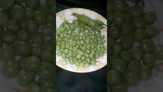 Benefits of pea  Pisum sativum please support and subscribe my channel [upl. by O'Mahony]