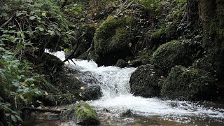 saint alban les eaux au gorges du désert [upl. by Mor]