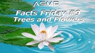 ASMR Tree amp Flower Facts Whispered  Pokemon [upl. by Auston]