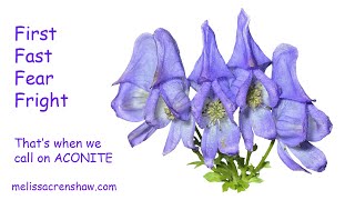 1 Aconitum Napellus Aconite  Homeopathic Remedy [upl. by Samohtnhoj334]