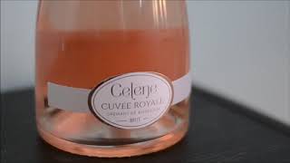 28 Дегустатор Дегустация игристого розового вина Celene Cuvée Royale Crémant de Bordeaux Brut [upl. by Wemolohtrab]