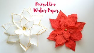 Wafer Paper Poinsettia Tutorial  Coloring Wafer paper [upl. by Longan]