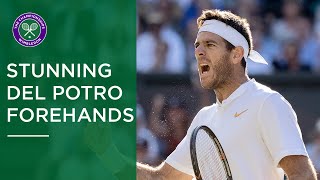 Juan Martin del Potro  Stunning Wimbledon Forehands [upl. by Adohr975]