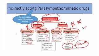 Parasympathomimetic drugs part 2 [upl. by Young340]