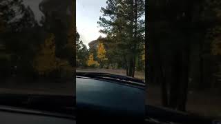 Twin Rocks Cabin driveway Florissant Colorado [upl. by Farant915]