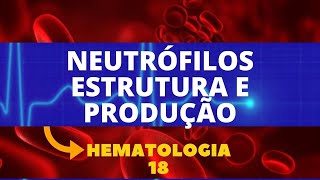 NEUTRÓFILOS ESTRUTURA E PRODUÇÃO  HEMATOLOGIA  AULA 18 [upl. by Nyvlem]