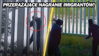 PRZERAŻAJĄCE NAGRANIE IMIGRANTA NIE UWIERZYSZ [upl. by Yeleek]