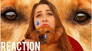 A Dogs Purpose  Official Trailer REACTION [upl. by Weissberg]