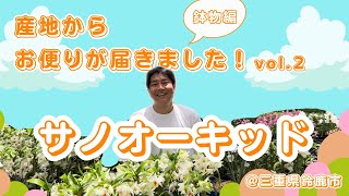 らんラン蘭！飾りたくなる洋蘭の世界へようこそ【サノオーキッド】～産地からお便りが届きました！vol2～ [upl. by Teodor]