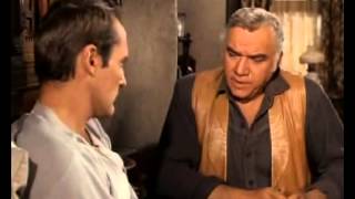 Bonanza 165 PL s5e31 [upl. by Beaumont]