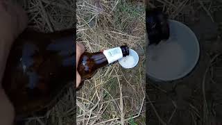 Rimedio contro le lumachebirra biolumachelimaccenature natureasmr [upl. by Naltiac]