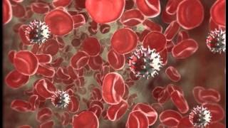 white blood cells in urine details and reasons [upl. by Enak857]