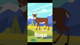 RUSA [upl. by Hale]