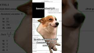 scoatemi inima din piept humor romania hello meme music suscribe memes dog pets [upl. by Naugan]