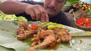 King chilly harvesting  eating tender chicken  harvesting organic vegetables [upl. by Akilegna]