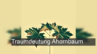 Ahornbaum  TraumDeutung [upl. by Buehrer184]