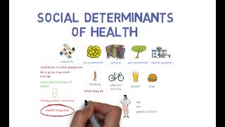 What Makes Us Healthy Understanding the Social Determinants of Health [upl. by Mirabel884]