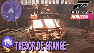 FORZA HORIZON 5 TRÉSOR DE GRANGE  OÙ TROUVER LA RACING FORD ESCORT MK1 1967  LOCALISATION [upl. by Lozar]