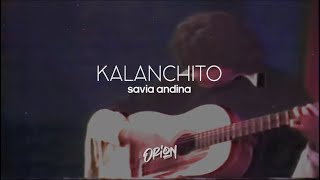 KALANCHITO SAVIA ANDINA  LETRA [upl. by Eladnwahs514]