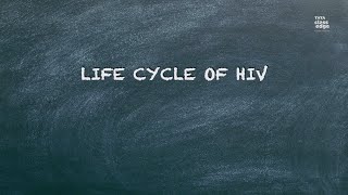 Life Cycle of HIV [upl. by Kcirdnekel432]